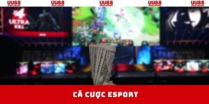 ảnh bìa cá cược esport