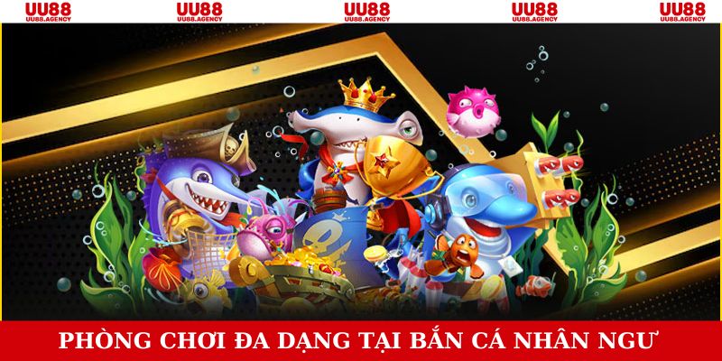 Săn cá nhân ngư có nhiều phòng chơi thử thách