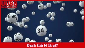 Bạch Thủ Lô là gì