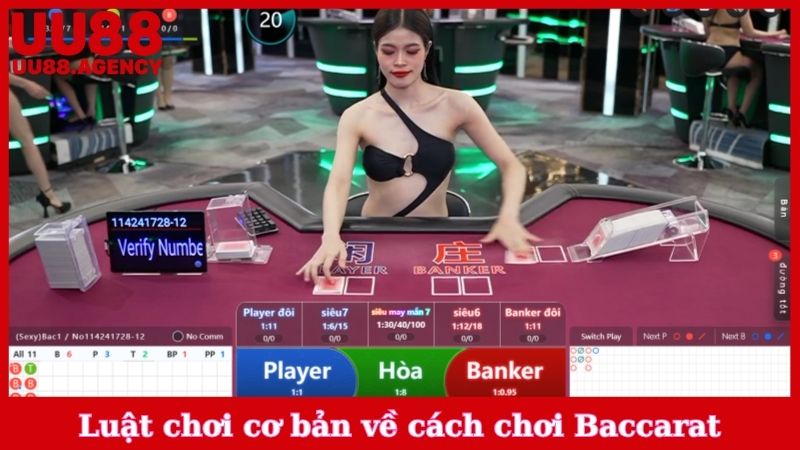 Luật chơi cơ bản về cách chơi Baccarat