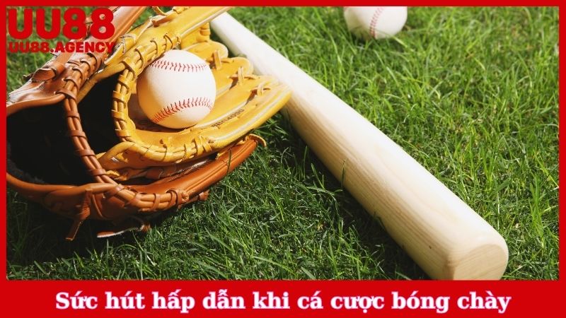 Sức hút hấp dẫn khi cá cược bóng chày